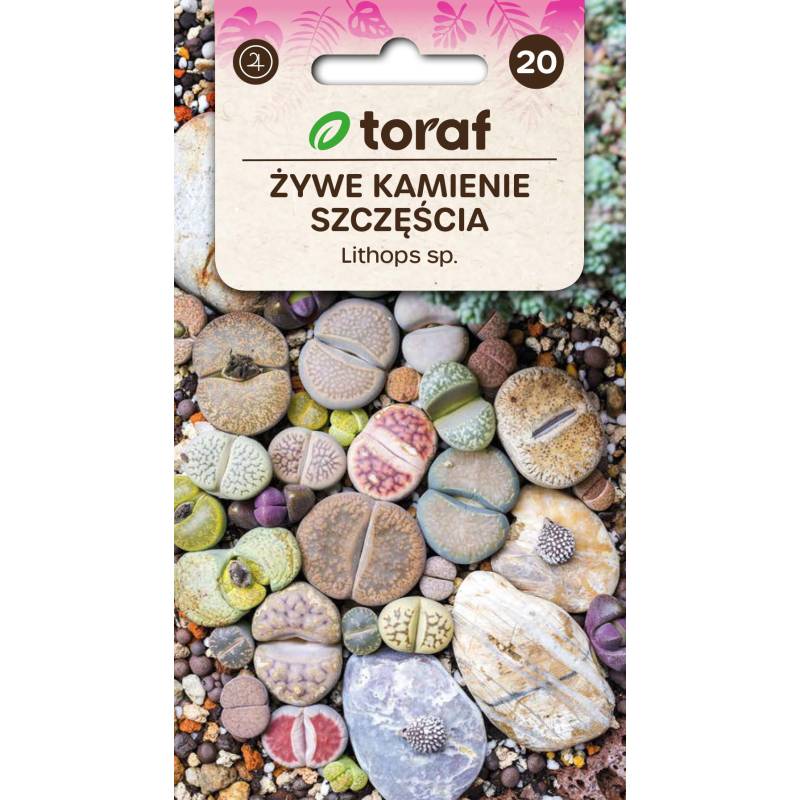 Toraf 20 szt. Żywe kamienie szczęścia Mix Nasiona sukulentów Exotic hobby Łatwa uprawa