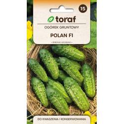 Toraf 5g Ogórek Polan F1 Nasiona warzyw Odmiana średniowczesna bardzo plenna gruntowa Kwaszenie Sałatki