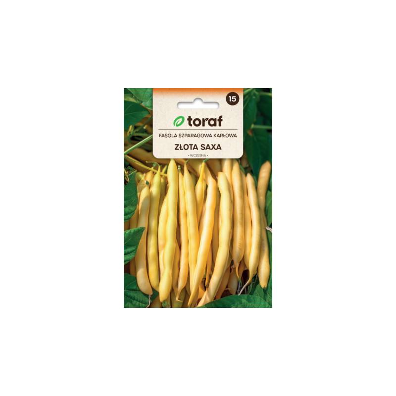 Toraf 50g Fasola Szparagowa Karłowa Złota Saxa Nasiona warzyw Odmiana wczesna niska