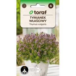 Toraf 0,3g Tymianek Właściwy Nasiona ziół Przyprawy Aromatyczne zioło Działanie napotne moczopędne