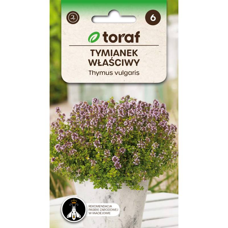 Toraf 0,3g Tymianek Właściwy Nasiona ziół Przyprawy Aromatyczne zioło Działanie napotne moczopędne