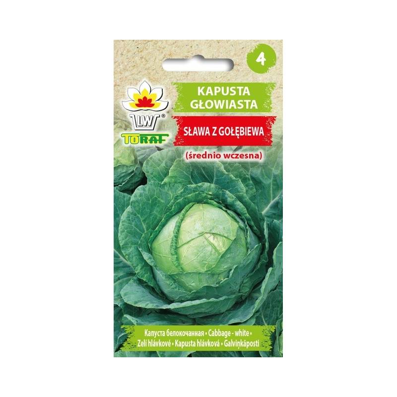 Toraf 2g Kapusta Głowiasta Biała Sława z Gołębiewa Nasiona warzyw odmiana średnio-wczesna