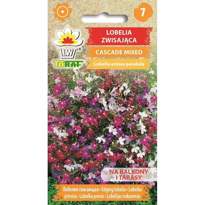 Toraf 0,1g Lobelia Cascade Mix Nasiona kwiatów zwisających balkony tarasy parapety