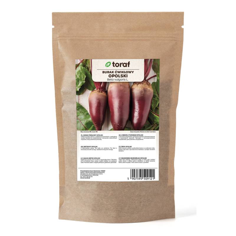 Toraf 100g Burak Opolski Ćwikłowy Duże opakowanie nasion Bardzo plenny podłużny bogaty w składniki odżywcze