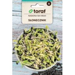Toraf 20g Słonecznik Nasiona Kiełki kiełków słonecznika kiełkownik