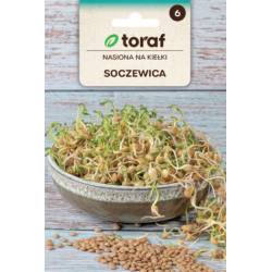 Toraf 20g Soczewica Nasiona na kiełki Bogactwo witamin Zdrowe Smaczne Błonnik