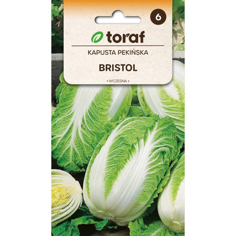 Kapusta Pekińska 1g Bristol 1g TORAF Nasiona