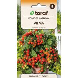 Toraf 0,3g Pomidor Vilma Karłowy Gruntowy Nasiona warzyw odmiana dekoracyjno-użytkowa grunt balkony