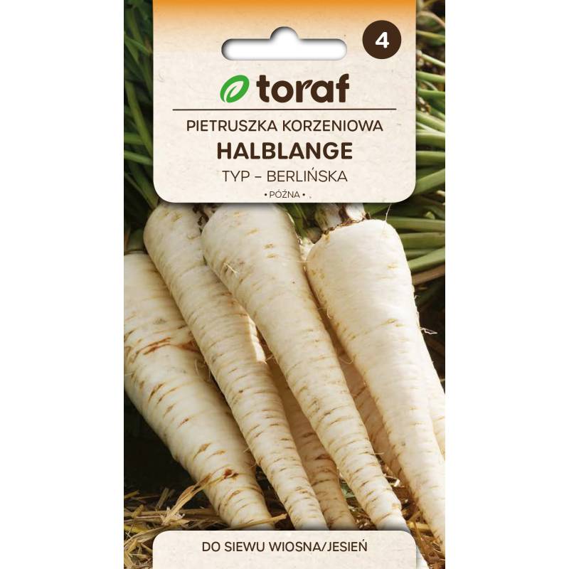 Toraf 5g Pietruszka korzeniowa Berlińska Halblange Nasiona warzyw odmiana późna zimująca bardzo plenna