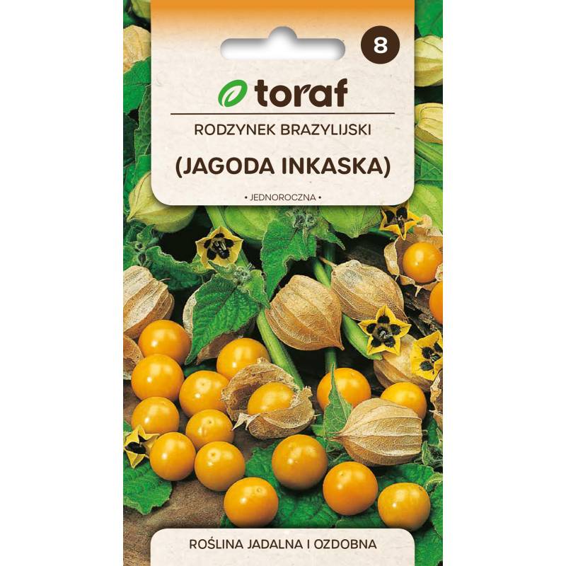 Toraf 0,2g Rodzynek brazylijski Nasiona Roślina jednoroczna Odmiana jadalna ozdobna