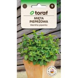 Toraf 0,1g Mięta pieprzowa Nasiona ziół dodatek do dań wspomaga trawienie