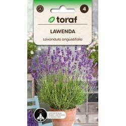 Toraf 0,2g Lawenda Nasiona ziół Pachnące kwiaty Łagodzi migrenę Zabezpiecza szafy przed molami