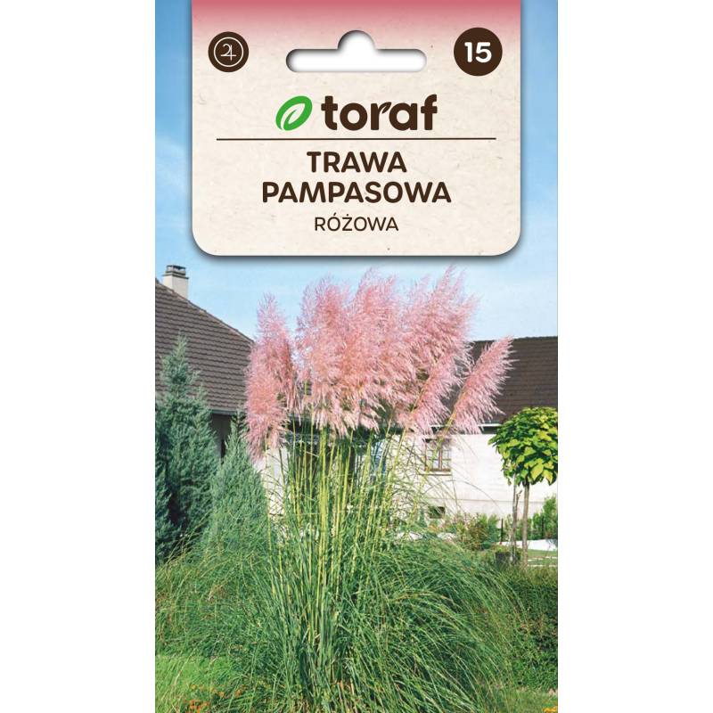 Toraf 0,1g Trawa Pampasowa Różowa Nasiona Roślina wieloletnia Okazałe różowe kępy