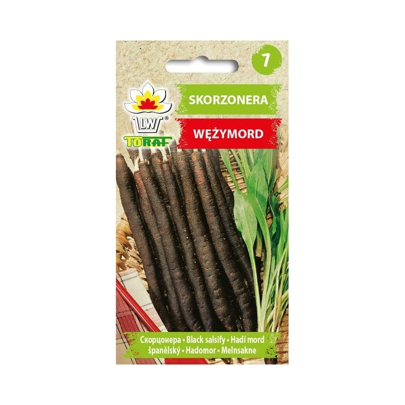 Toraf 3 g Skorzonera Czarny Korzeń nasiona Wężymord