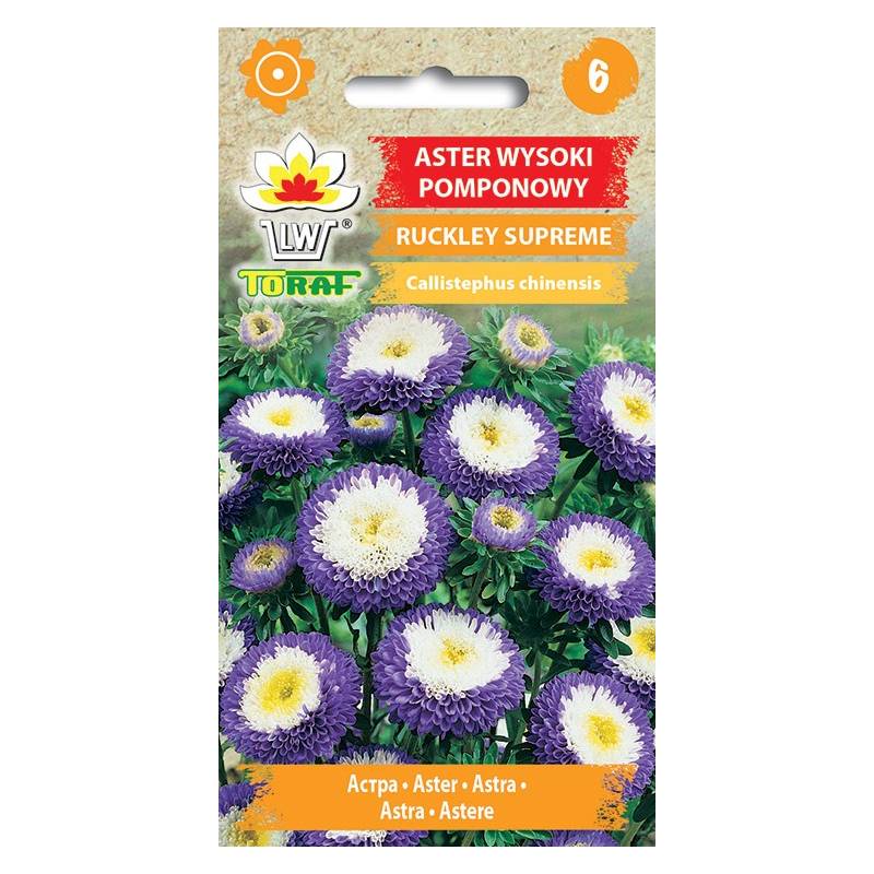 Toraf 1g Aster Pomponowy Ruckley Supreme Nasiona wysoki niebiesko-białe kwiaty