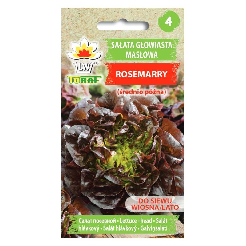 Toraf 1g Sałata Masłowa Rosemarry Czerwona Nasiona warzyw odmiana średniopóźna