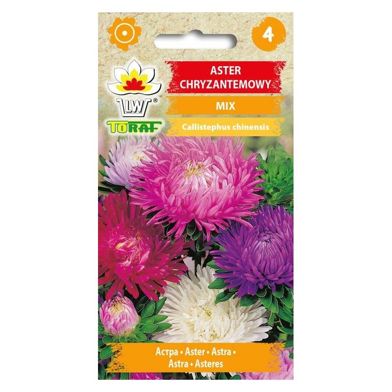 Toraf 1g Aster Chryzantemowy mix Nasiona mieszanka kolorów pełne kwiaty