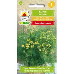 Toraf 1g Koper Włoski Nasiona ziół Roślina lecznicza Poprawia trawienie Łagodzi stres