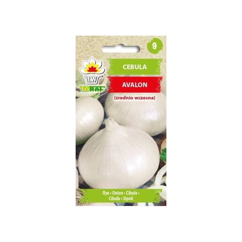 Toraf 3g Cebula Avalon Nasiona warzyw Odmiana średniowczesna Delikatna Słodkawy smak