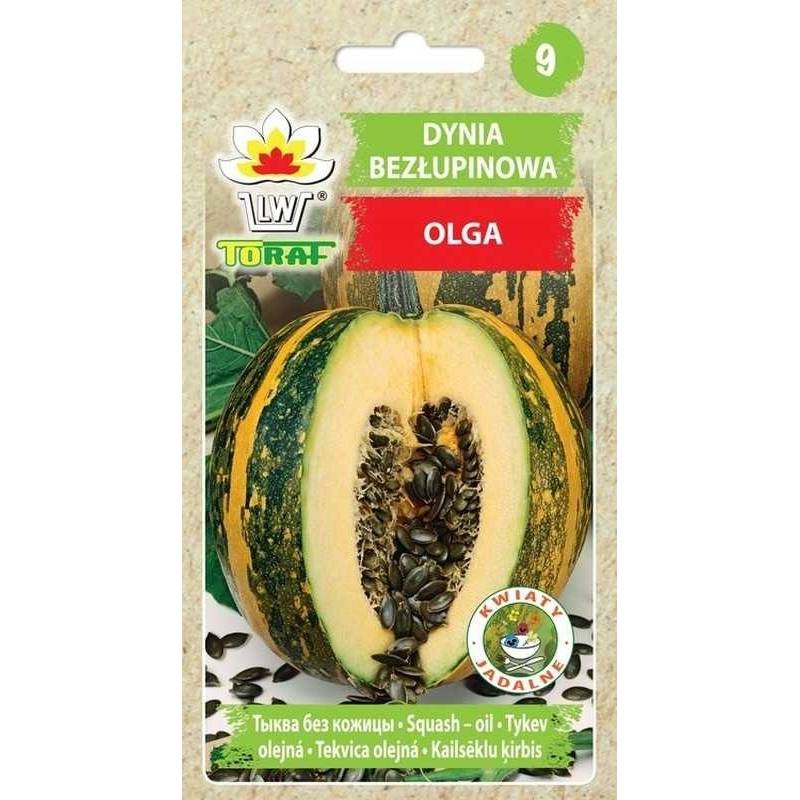 Toraf 2g Dynia Olga Bezłupinowa olbrzymia Nasiona dyni przetwory pestki jadalne