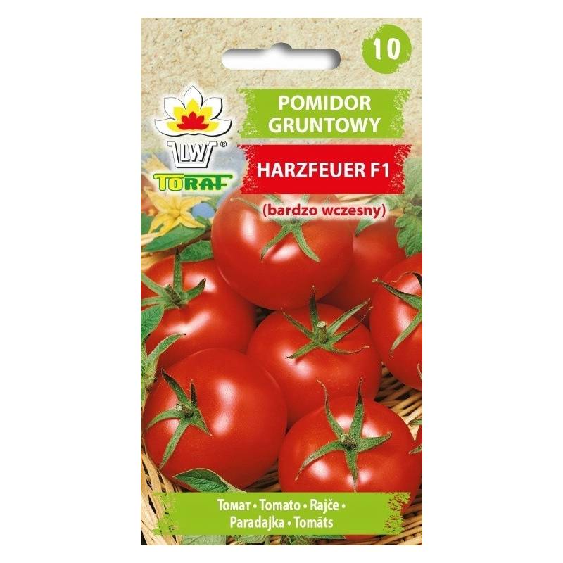 Toraf 0,3g Pomidor Harzfeuer Gruntowy Czerwony Nasiona warzyw aromatyczny słodki