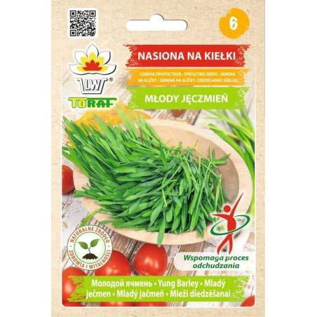 Toraf 30g Młody Jęczmień Nasiona Kiełki Łatwy pyszny