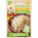 Toraf 20g Lucerna Alfalfa Nasiona Kiełki Bio-Organic ekologiczne kiełków lucerny