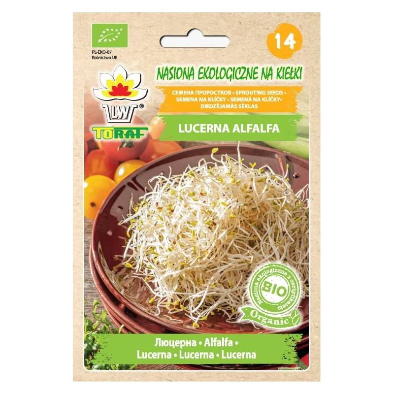 Toraf 20g Lucerna Alfalfa Nasiona Kiełki Bio-Organic ekologiczne kiełków lucerny