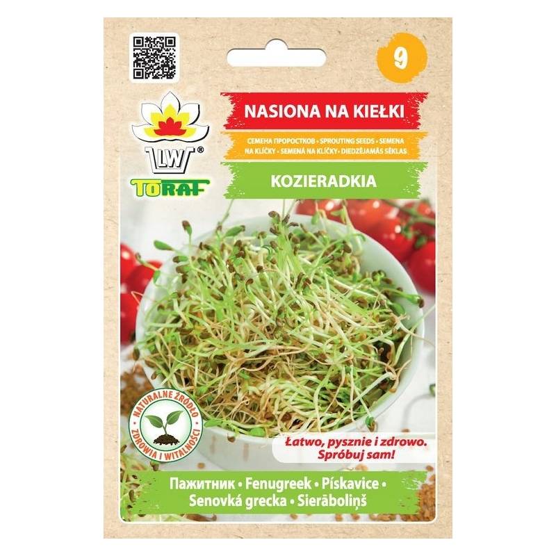 Toraf 20g Kozieradka Nasiona Kiełki kiełkownica Działanie odmładzające regeneracyjne