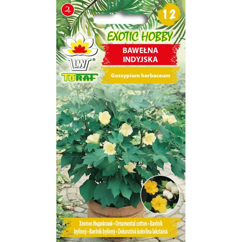 Toraf 5szt. Bawełna indyjska Nasiona kwiatów wieloletnich Roślina egzotyczna Kwiaty kremowe różowe