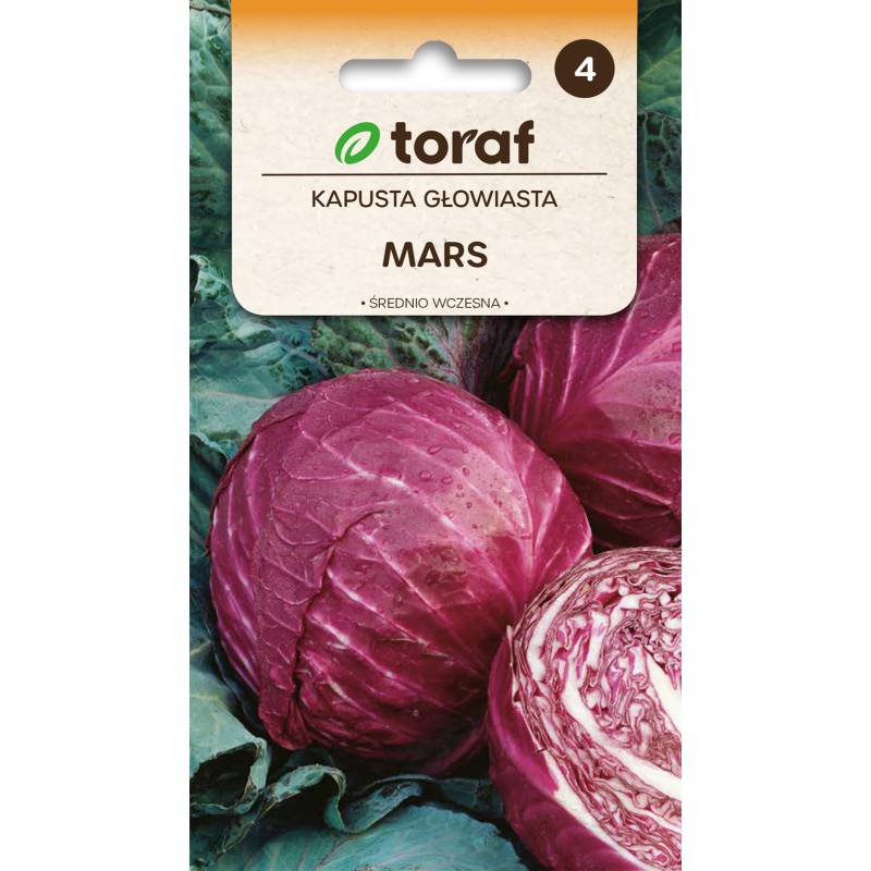 Toraf 1g Kapusta Głowiasta Czerwona Mars Nasiona warzyw Ładne główki Bardzo smaczna