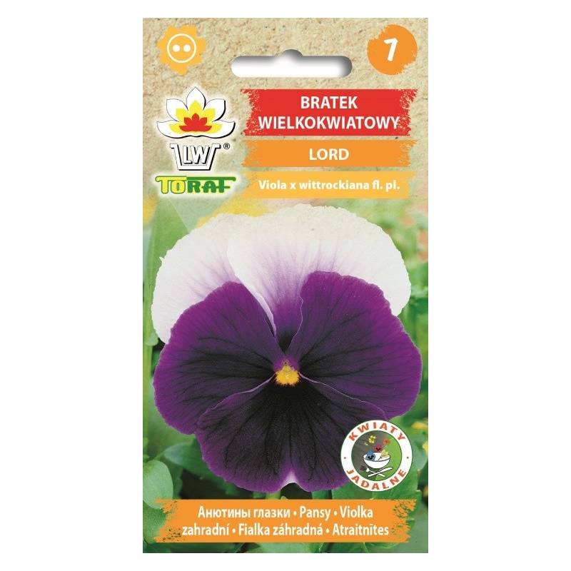 Toraf 0,2g Bratek Wielokwiatowy Lord Nasiona kwiatów dwuletnich Balkony Rabaty Kwietniki