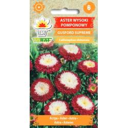 Toraf 1g Aster Pomponowy Gusford Supreme Nasiona żółto-biało-czerwone kwiaty wysoka odmiana