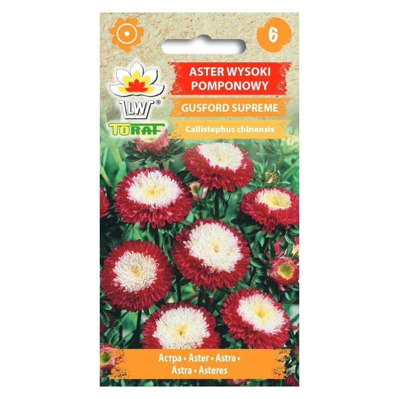 Toraf 1g Aster Pomponowy Gusford Supreme Nasiona żółto-biało-czerwone kwiaty wysoka odmiana