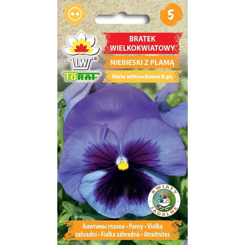 Toraf 0,2g Bratek Wielkokwiatowy niebieski z czarnym oczkiem Nasiona roślina dwutelnia nasadzenia rabatki balkony