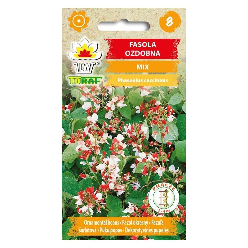Toraf 6 sztuk Fasola Ozdobna Nasiona Mieszanka Roślina pnąca