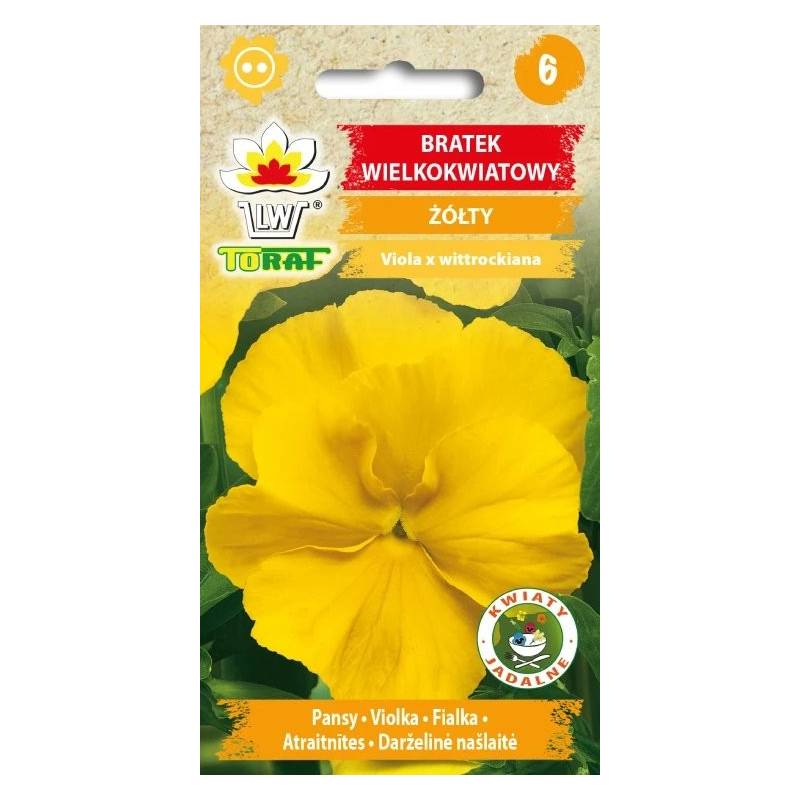 Toraf 0,2g Bratek Wielkokwiatowy żółty Nasiona roślina rabatowa balkonowa odporna na mróz