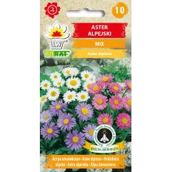 Toraf 0,5g Aster Alpejski Mieszanka Mix Nasiona kwiatów wieloletnich Mieszanka kolorów Różowy Niebieski