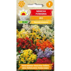 Toraf 0,3g Nemesja Powabna Nasiona kwiatów mieszanka kolorów rabatki kwietniki