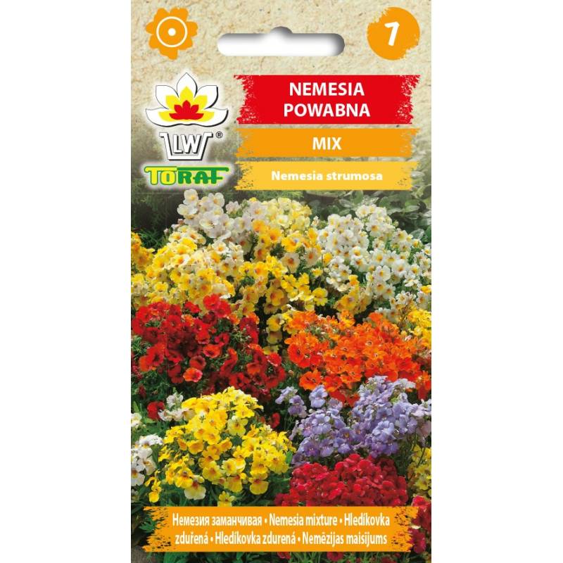Toraf 0,3g Nemesja Powabna Nasiona kwiatów mieszanka kolorów rabatki kwietniki