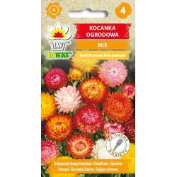 Toraf 0,5g Kocanka Ogrodowa mix Nasiona kwiatów mieszanka kolorów suche bukiety