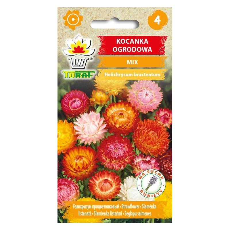 Toraf 0,5g Kocanka Ogrodowa mix Nasiona kwiatów mieszanka kolorów suche bukiety