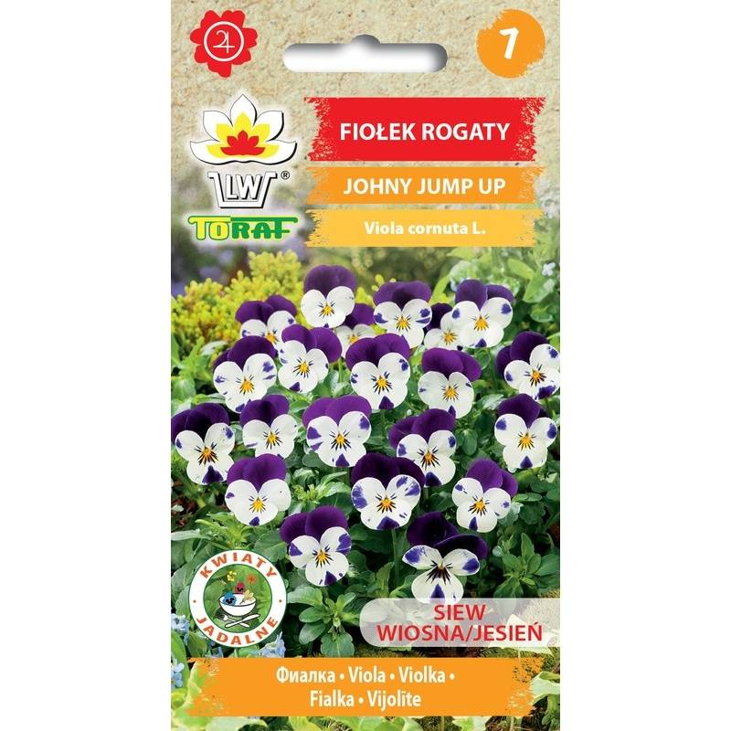 Toraf 0,3g Fiołek Rogaty Johny Jump Up Nasiona kwiatów Bylina Wielobarwne kwiaty