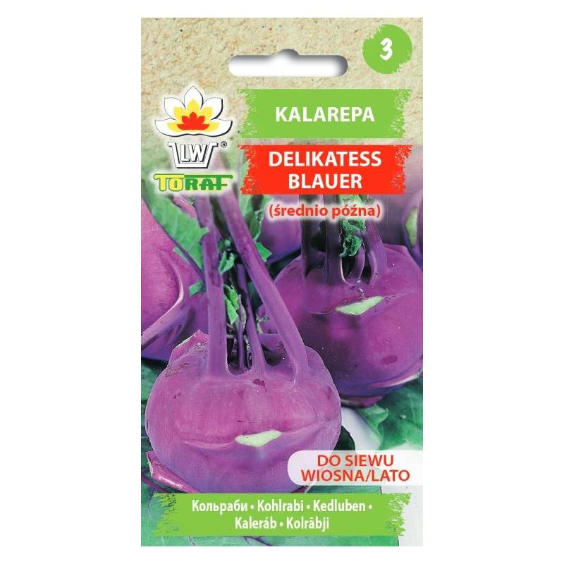 Toraf 2g Kalarepa Delikates Blauer Fioletowa Nasiona warzyw odmiana plenna długie przechowywanie