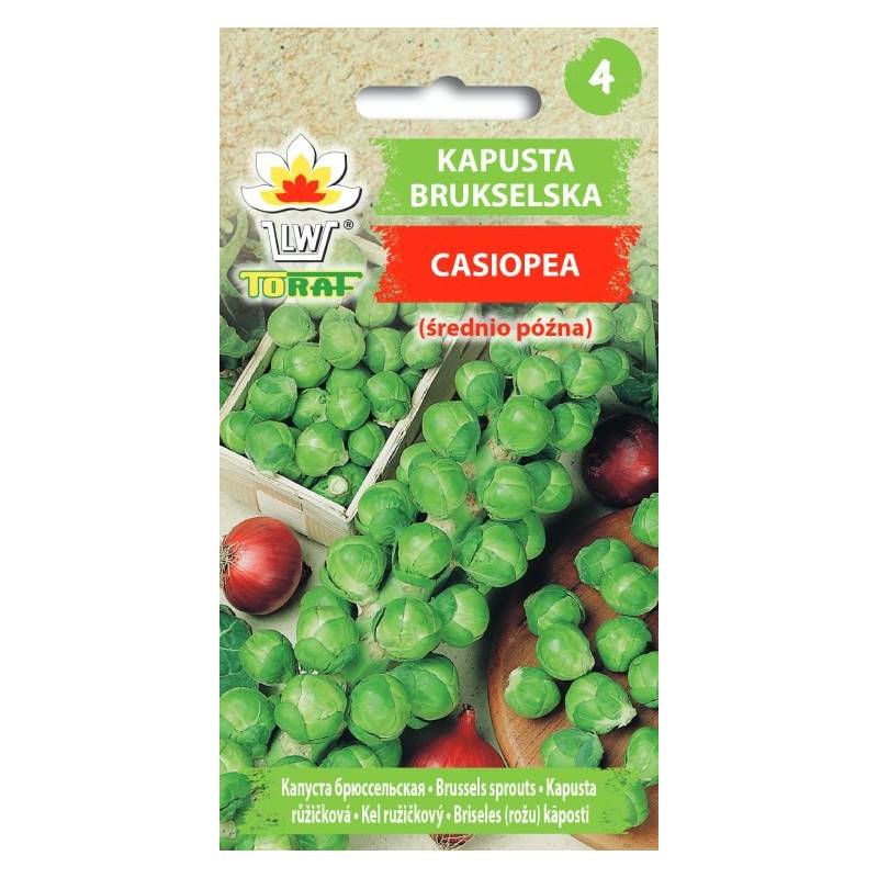 Toraf 1g Kapusta Brukselka Casiopea Nasiona warzyw źródło witamin zupy sałatki