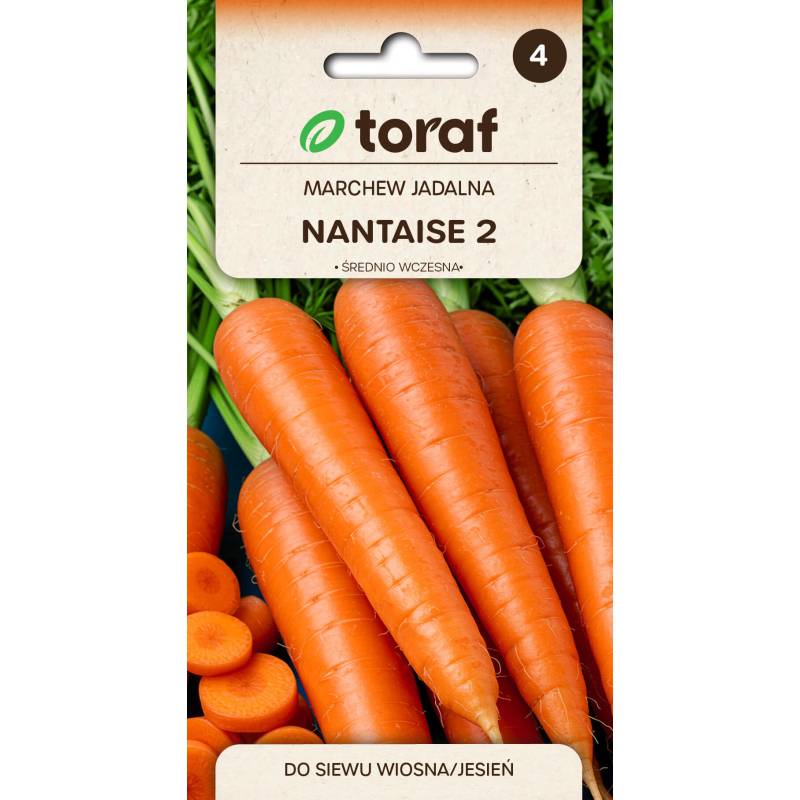 Toraf 5g Marchew Nantaise 2 Nasiona warzyw Odmiana średniowczesna Zbiór letni jesienny Krucha Smaczna