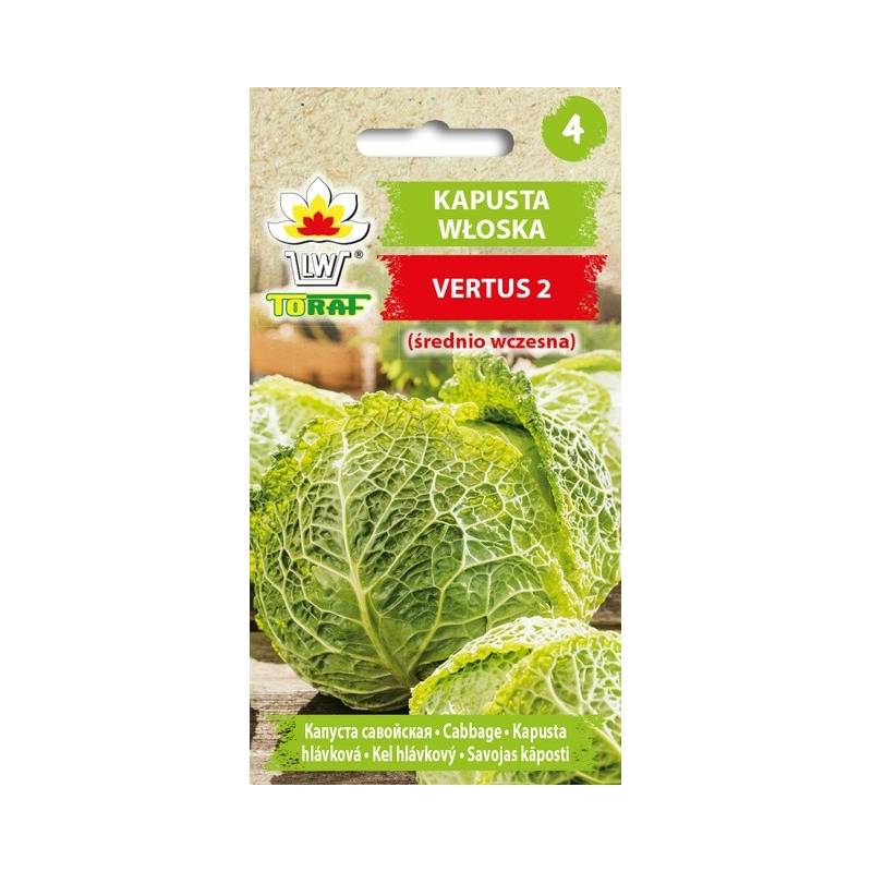 Toraf 2g Kapusta Włoska Vertus 2 Nasiona warzyw bardzo smaczna karbowana