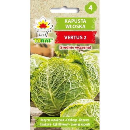 Toraf 2g Kapusta Włoska Vertus 2 Nasiona warzyw bardzo smaczna karbowana