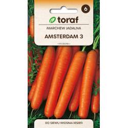 Toraf 5g Marchew Amsterdam 3 Nasiona warzyw Odmiana wczesna Siew wiosenny jesienny Soki