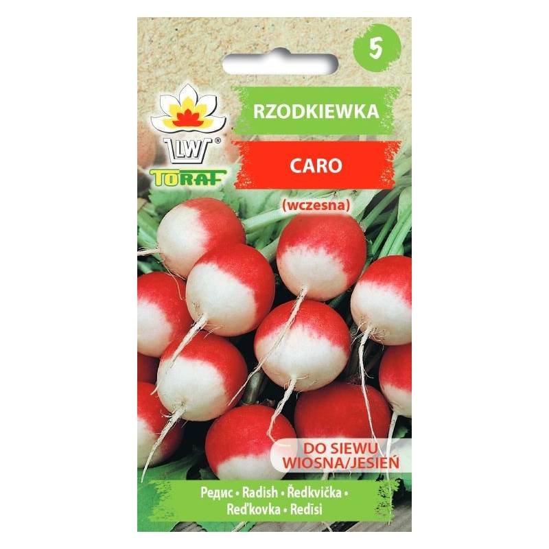 Toraf 10g Rzodkiewka Caro Nasiona warzyw Odmiana wczesna czerwono-biała Siew wiosenny jesienny